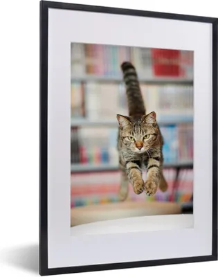 Produktbild von MuchoWow® MuchoWow® Gerahmtes Poster Katze - Frühling - Stuhl 30x40 cm - Poster mit zchwarzem Bilderrahmen - Wandposter Schlafzimmer