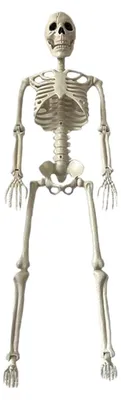 Immagine prodotto di Scheletro mobile per decorazioni di Halloween