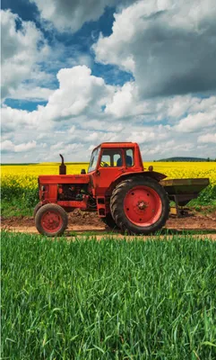 Produktbild von PHU CARBOTEX Carbotex Trecker Traktor Kinder-Handtuch 30 x 50 cm