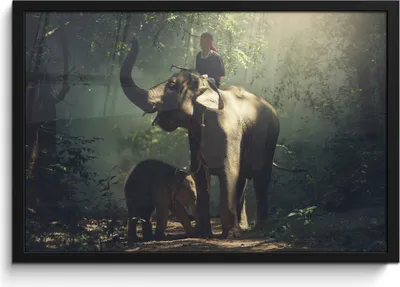 Produktbild von MuchoWow® MuchoWow® Gerahmtes Poster Elefant - Wald - Bäume - Tiere - Trainer 60x40 cm - Poster mit zchwarzem Bilderrahmen - Printing - Wanddeko Schlafzimmer