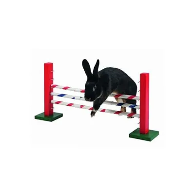 Zdjęcie produktu dla Kerbl stroma skocznia dla gryzoni Agility 70x5x35 cm