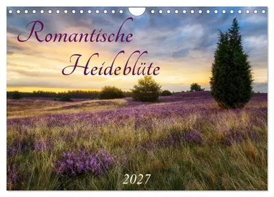 Produktbild von Romantische Heideblüte (Wandkalender 2027 DIN A4 quer), CALVENDO Monatskalender