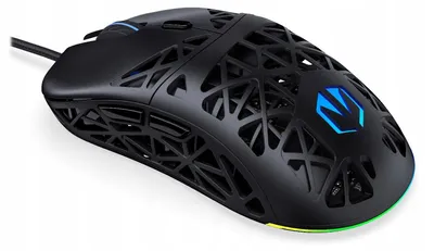 Image de Gaming mouse ENDORFY LIV (EY6A020)