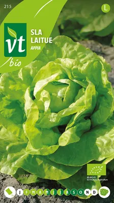 Produktbild von -Salat Appia Samen - Ca. 1 gr | VT_215