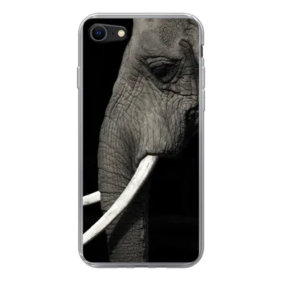 Produktbild von MuchoWow® Handyhülle Schutzhülle Hülle für iPhone SE 2020 Elefant - Tier - Stoßzahn Silikon Softcase Handy Hülle - Kartenbesitzer