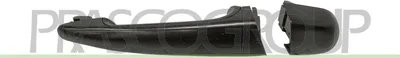 Produktbild von PRASCO BM0208013 Türgriff Hinten Rechts Vorne Rechts für BMW 3 Limousine (E46)