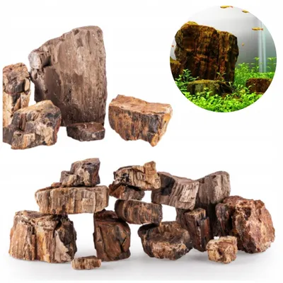 Obrázek produktu pro Akvarijní dekorace, zkamenělé dřevo, dekorace do akvária, přírodní kámen, sada 5 kg pro aranžaci a úkryty ryb