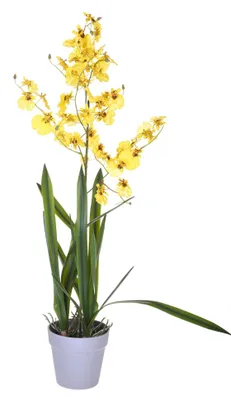 Immagine prodotto di Orchidea Artificiali Oncidium con Vaso Altezza 40 cm Giallo