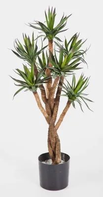 Produktbild von artplants.de Kleiner Agavenbaum Avan, 203 Blätter, hellgrün, 70cm - Dekobaum - Künstliche Agave