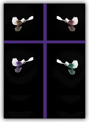 Produktbild von 5er Set Beileids Klappkarten mit Tauben und Kreuz zum Kondolieren