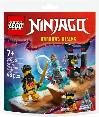 Immagine prodotto di LEGO NINJAGO 30700 Arin vs Dragoniano Set da Costruzione 48 Pezzi 7+ Anni
