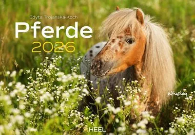 Produktbild von Pferde Kalender 2026 Wandkalender