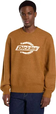 Immagine prodotto di Felpa Dickies DK0A870Q0BD1 da Uomo