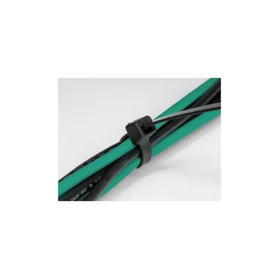 Immagine prodotto di DELOCK Kabelbinder kälteresistent L 200 x B 4,8 mm schwarz
