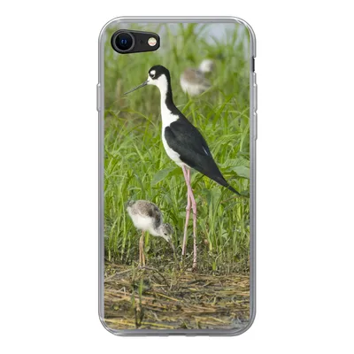 Produktbild von MuchoWow® Handyhülle Schutzhülle Hülle für iPhone 8 Vogel - Gras - Küken - Sumpf Silikon Softcase Handy Hülle - Schutzhaube