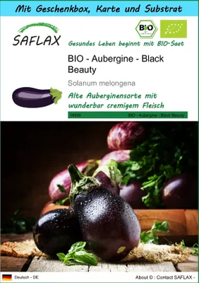Produktbild von SAFLAX Geschenk Set - BIO - Aubergine - Black Beauty - Solanum melongena - 25 Samen - Mit Geschenkbox, Versandaufkleber, Geschenkkarte und Anzuchtsubstrat