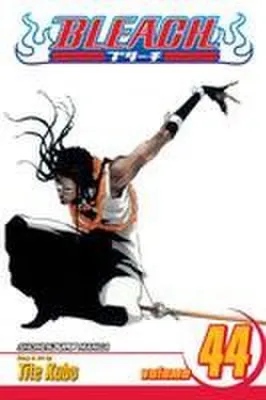 Image de Bleach, Vol. 44