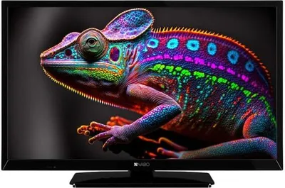 Obrázok produktu pre Nabo 24LA4912 HD ready HDR 400 CMP LED TV 24" (60 cm)