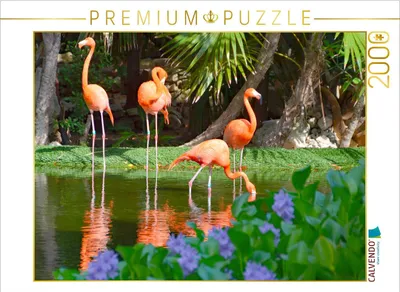 Produktbild von CALVENDO Puzzle Rosaflamingo 2000 Teile Puzzle quer | 2000 Teile Lege-Größe 90x67cm Foto-Puzzle für glückliche Stunden