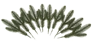Produktbild von VBS Edel Tannenzweige "Eitra", 10 Stück