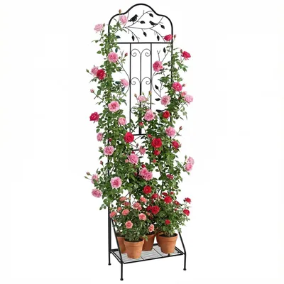 Produktbild von COSTWAY Rankgitter Metall, 3 in 1 dekorativer Gartenzaun, Blumenregal&Pflanzstütze, freistehende Rankhilfe, Spalier Garten Schwarz