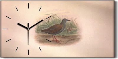 Produktbild von Wanduhr Uhr Wandbild Leinwand Geräuschlos 60x30 Vögel Wild Tiere Zeichnung Kunst - schwarze Hände
