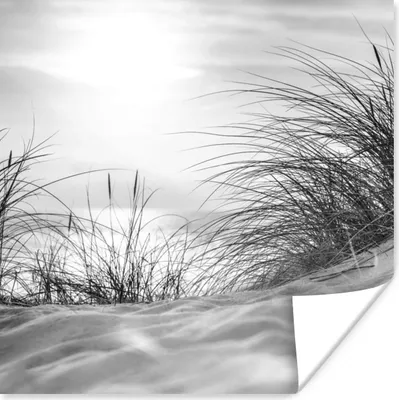 Produktbild von MuchoWow® Poster Wattenmeer - Schwarz - Weiß - Dünen 100x100 cm - Babyzimmer