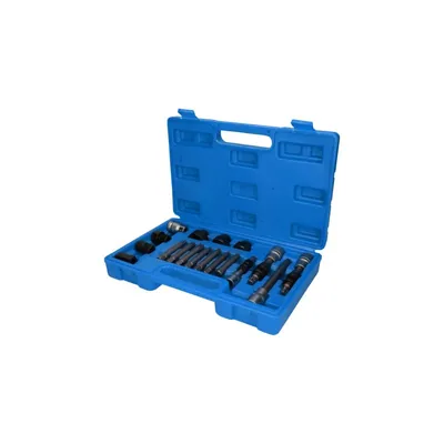 Produktbild von Brilliant Tools Lichtmaschinen Bit- und Steckschlüssel-Satz, 18-tlg.