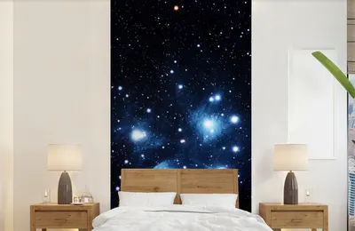 Produktbild von Sterngarten-Wandtapete - Himmel - Nacht - Breite 120 cm x Höhe 240 cm