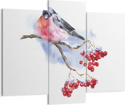 Produktbild von Bild auf Leinwand - Leinwandbild - 3 Teile - Dompfaff auf Zweig - 130x100cm - Wand Bild - Wanddeko - Wandbilder - Leinwanddruck - Bilder - Wanddekoration - Leinwand bilder - Wandbild - CB130x100-4187