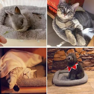 Image de Lit moelleux pour chat ou chien, 45 x 30 cm, en bambou, lavable, en peluche