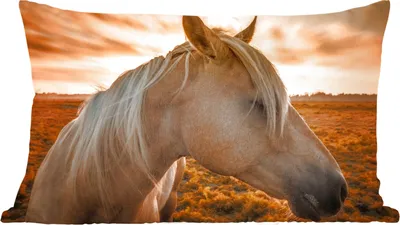 Produktbild von MuchoWow® Zierkissen Sofakissen Wohnzimmer Dekokissen 60x40 cm Pferd - Tiere - Porträt - Kopfkissen - Polster mit Foto