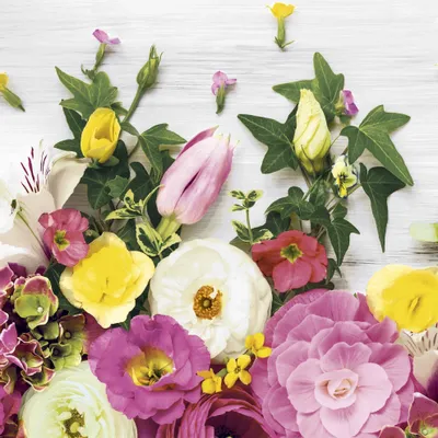 Produktbild von 20 Servietten Florals - Blütensammlung aus dem Garten 33x33cm