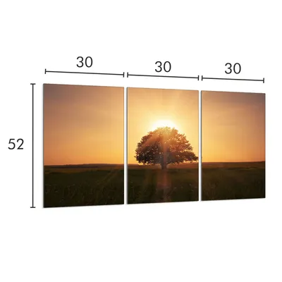 Imagen del producto de Placa de vidrio protectora para cocina, dimensiones 30x52 cm