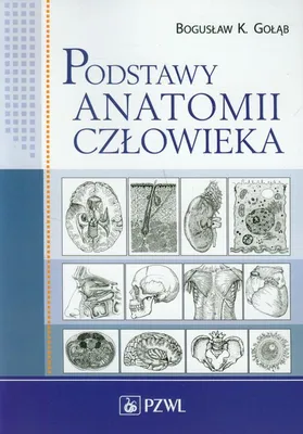 Produktbild von Podstawy anatomii człowieka