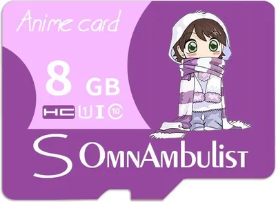 Produktbild von Cartoon Purple Girl TF Memory Card mit Adapter und Reader
