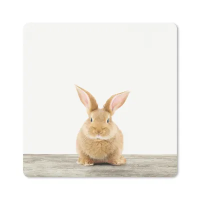 Produktbild von MuchoWow® Mauspad Mousepad Kaninchen - Babykaninchen - Tiere - Kinder - Mädchen - Jungen 30x30 cm - Mousepads - Maus Mat - Pad - Mausunterlage - Gaming