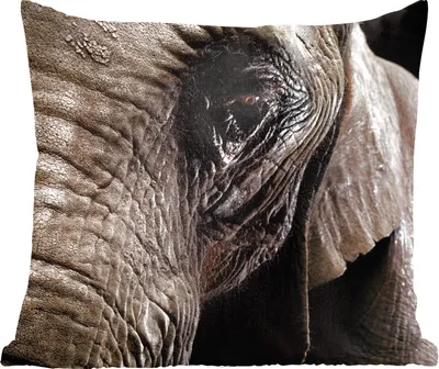 Produktbild von MuchoWow® Zierkissen Sofakissen Wohnzimmer Dekokissen 60x60 cm Elefant - Tiere - Nahaufnahme - Schwarz - Sitzfläche - Foto Polster