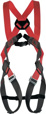 Immagine prodotto di CAMP Unisex - Adulti Cintura di sicurezza Basic Duo contro la caduta dei capelli, rosso, taglia unica