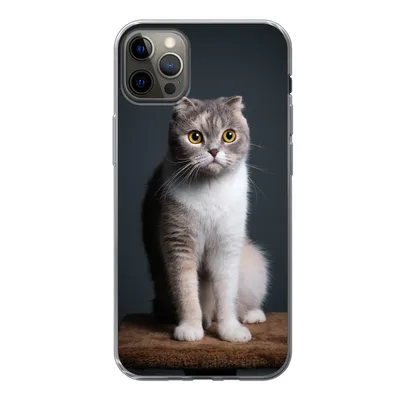Produktbild von MuchoWow® Handyhülle Schutzhülle Hülle für iPhone 13 Pro Max Katze - Haustiere - Licht Silikon Softcase Handy Hülle - Mobiltelefon