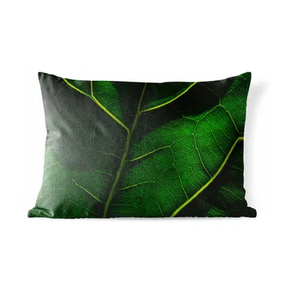 Obrázek produktu pro MuchoWow® Vnější polštář - Stíny nad zeleným listem -60x40 cm- Odolnost proti povětrnostním vlivům - polštář do obývacího pokoje