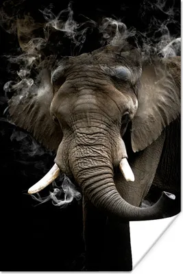 Produktbild von MuchoWow® Poster Elefant - Rauchen - Schwarz 20x30 cm - Papierdruck
