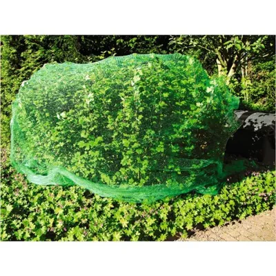Image de Filet anti oiseaux 5x4m vert Filet de mare Filet anti feuillage Filet anti plantes Filet de jardinage