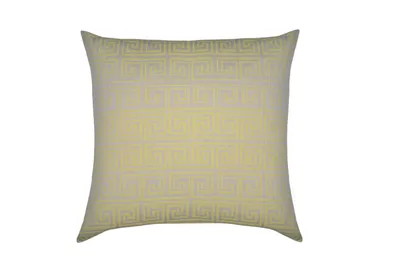 Image de Zoeppritz Sunny Leg curry 80x80 700330-160
