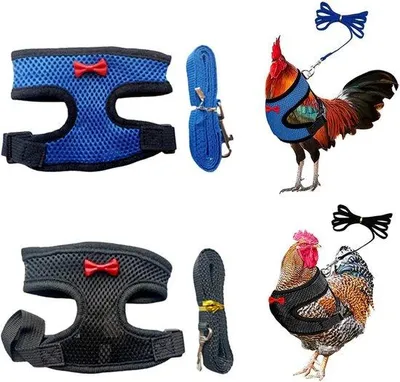 Produktbild von Famanu Haustiergeschirr 2er Set - Verstellbar, Blau und Schwarz