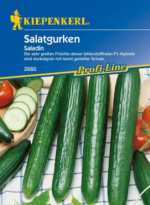 Produktbild von KIEPENKERL Gurke Salat- Saladin