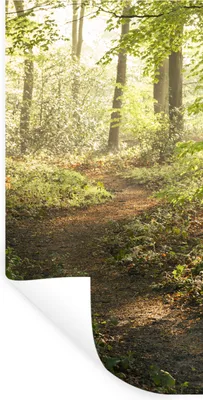 Produktbild von MuchoWow® Wandtattoo Wandsticker Wandaufkleber Wald - Bäume - Weg - Sonne - Pflanzen - Laub - Natur 60x120 cm Selbstklebend und Repositionierbar - Selbstklebend - Fototapeten