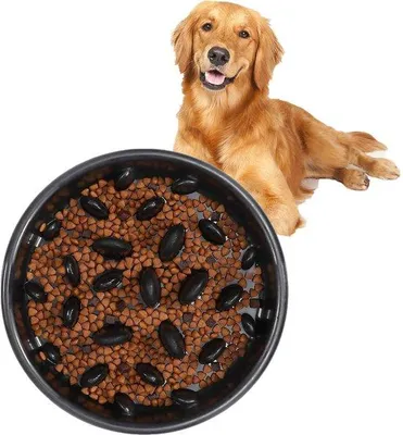 Immagine prodotto di Ciotola per cani Anti-Gulp grande, antiscivolo
