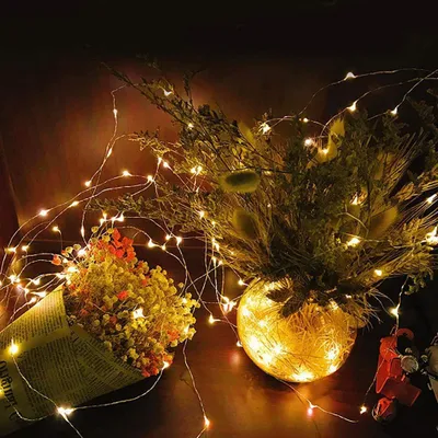 Image de Fee Lights USB Powered String Holiday f��r le festival chambre à coucher décoration de table f���r la fête festival de mariage