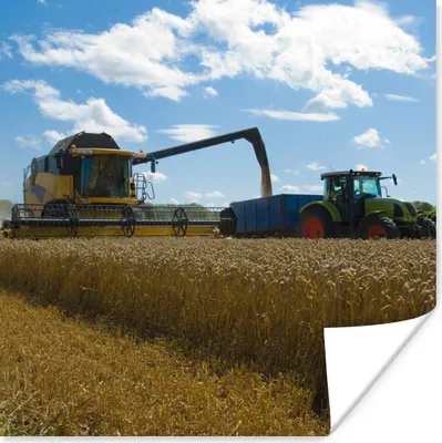 Produktbild von MuchoWow® Poster Traktor - Bauernhof - Landleben - Ernte - Getreide 75x75 cm - Wand Dekoration